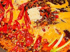 -朱光玉火锅馆(正弘城店)