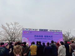 -高东镇樱花园