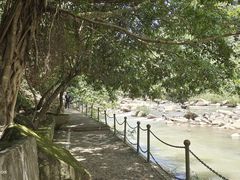 -四会奇石河风景区