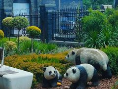 -四川大学(华西校区)