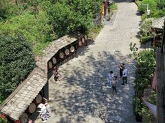 -合肥滨湖国家森林公园