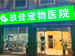 -玖佳宠物医院·泌尿·骨科·中老年病