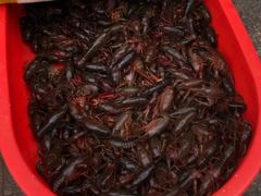 -丑八怪龙虾(盈嘉·香榴湾店)