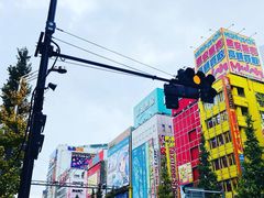 -秋叶原电器街