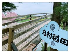 -乌村