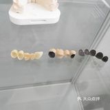 全瓷vs烤瓷
