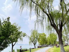 -金鸡湖景区