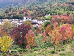 -塔川景区