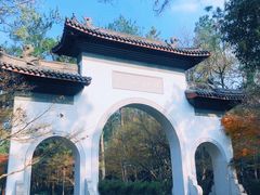 -灵顺寺