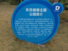 -东岳体育公园