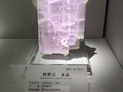 -湖南省地质博物馆