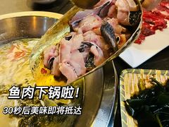 -土著渔匠·养生蝴蝶鱼(香樟路店)