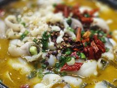 老坛酸菜鱼-虎虎龙虾大排档(双井店)