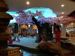 -沈阳龙润夏宫温泉水乐园