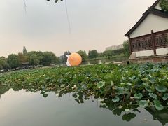 -绍兴鉴湖君澜大酒店