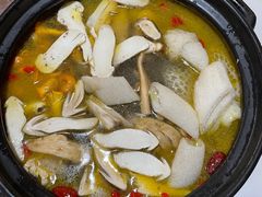 -蘑统田下·野生菌火锅