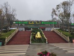 -熊猫主题餐厅