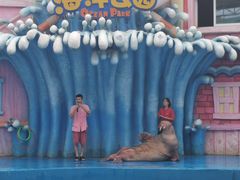 -华夏文旅海洋公园