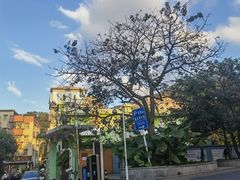 -梧桐山风景名胜区