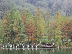-重庆彩云湖湿地公园