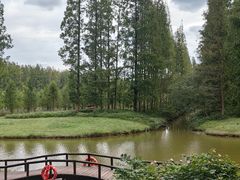 -黄海国家森林公园