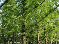 -国家植物园南园