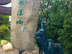 -溱湖国家湿地公园