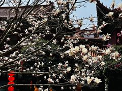 -皇罗禅寺