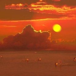 -薇兰专业脱毛连锁机构