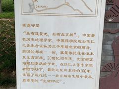 -莲花池公园