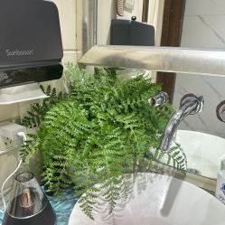 -初心はつ こころ日式美甲美睫沙龙