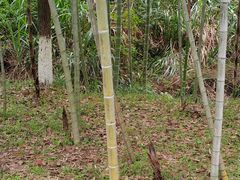 -明月山天沐温泉度假村