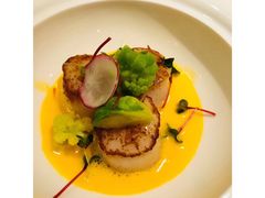 -蝶舍·MAISON PAPILLON