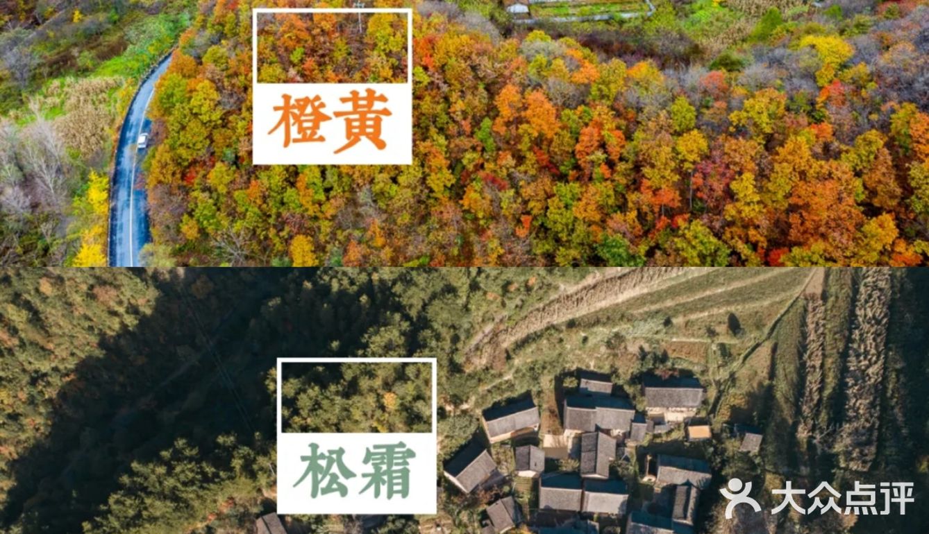 西安周边丨自驾秦岭红叶秘境,畅玩多彩之秋