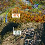 西安周边丨自驾秦岭红叶秘境,畅玩多彩之秋