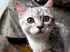 -么么咖啡(燕郊店)