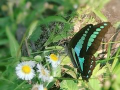 -春花秋色城市公园