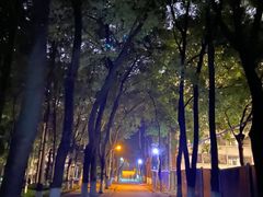 -中南财经政法大学(首义校区)