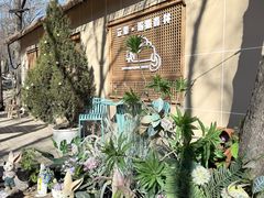 -沂蒙山旅游区云蒙景区(蒙山国家森林公园)