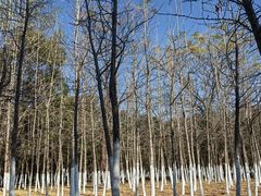 -艾溪湖湿地公园