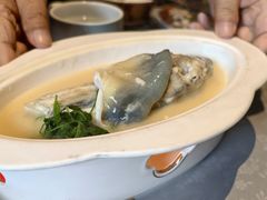 -沈灶河豚宴·河豚融合餐厅(汉中路店)