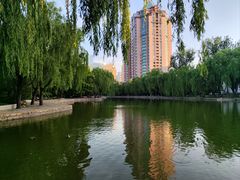 -团结湖公园