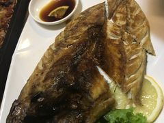 -向阳庄烧烤店(望京西园店)