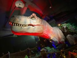 -恐龙探索乐园(磁器口店)