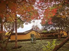 -灵岩山风景区