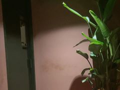 -泰合玺·精油按摩(河西龙湖天街店)
