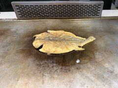 -赶海部落海鲜城(海阳路店)