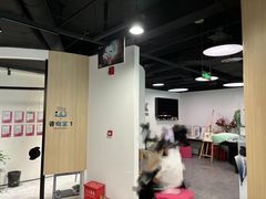 -新东方斯芬克艺术留学作品集培训(重庆校区)
