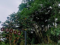 -中国科学院西双版纳热带植物园