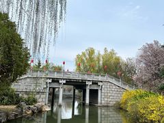 -洛阳市隋唐城遗址植物园